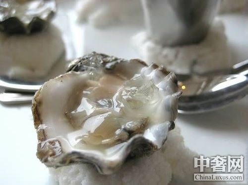 北半球好蠔不止法國(guó) 美加鮮味更足