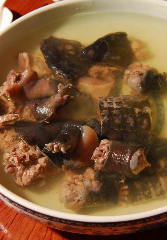 鮮美甲魚湯為迎接冬天補(bǔ)出好身體 鮮美甲魚湯為迎接冬天補(bǔ)出好身體