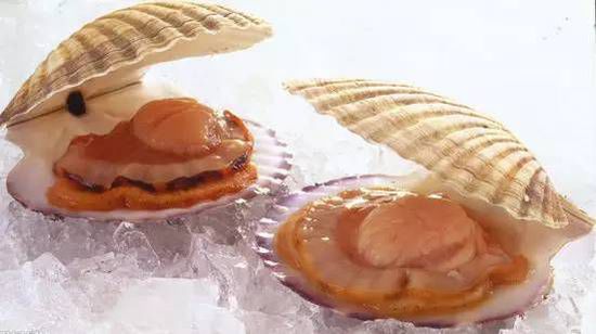 秋季最適合吃的海鮮是這10種 你吃對(duì)了嗎？