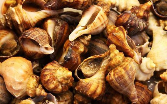 秋季最適合吃的海鮮是這10種 你吃對(duì)了嗎？