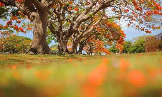 適合在冬天旅游的十個絕美海島！