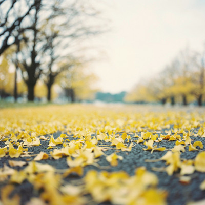 金牛座的愛情弱勢(shì) 金牛座的愛情弱勢(shì)