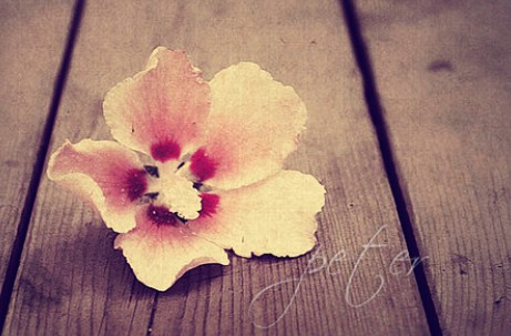 箬耶一周星座運(yùn)勢播報2013.11.18-11.24 箬耶一周星座運(yùn)勢播報2013.11.18-11.24