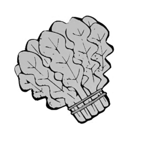 雪后菜價(jià)瘋漲15倍？沒恁夸張 元旦豬肉雞蛋或漲價(jià)