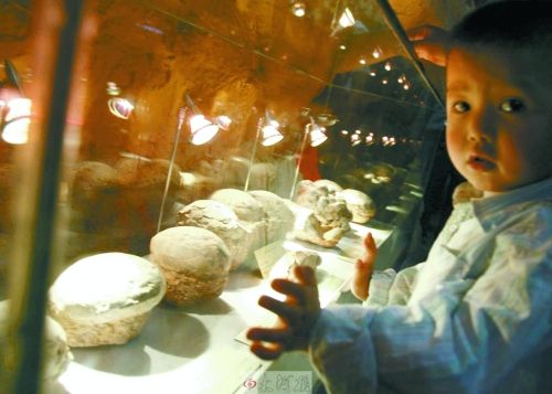 恐龍蛋，這回見(jiàn)識(shí)了吧！