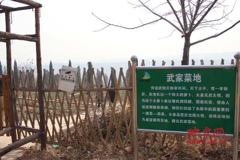 武家菜地就是這，據(jù)說里面有個特大的蘿卜