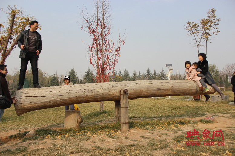 巨大的蹺蹺板，一棵樹。。?？赐娴亩噜? oldsrc=