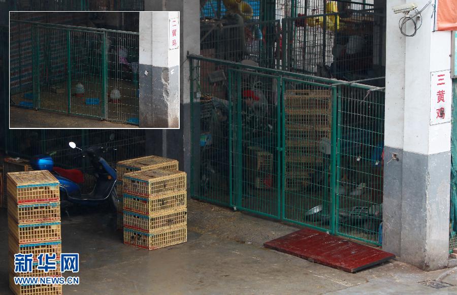 上海6日起暫?；钋萁灰?關(guān)閉所有活禽交易市場(chǎng)