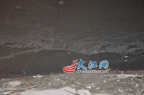 19日晚上的玉帶河，紅色河水變回灰綠色。