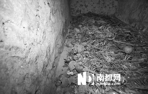 　5月29日，在以色列特拉維夫市雅法地區(qū)，一處集體墳?zāi)贡话l(fā)現(xiàn)。