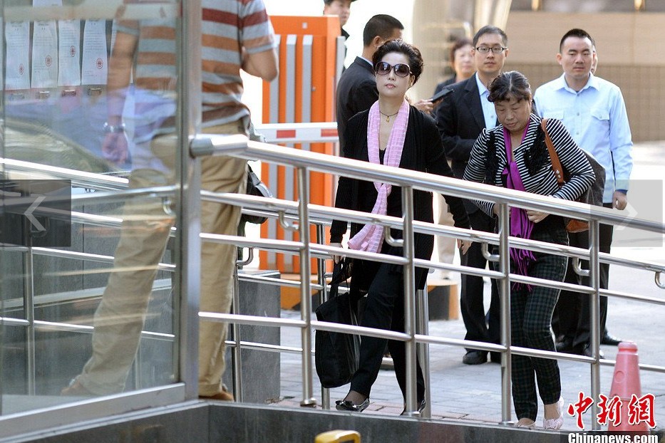 夢(mèng)鴿現(xiàn)身海淀法院。中新網(wǎng)記者 金碩 攝