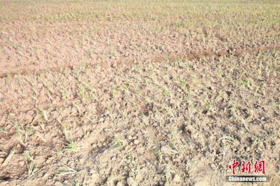 2014年7月31日早晨，浙江紹興市區(qū)蔬菜批發(fā)市場旁邊的土地已經(jīng)發(fā)生開裂。