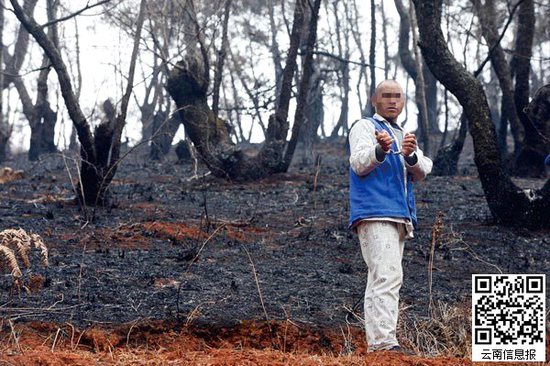山林被燒得滿目瘡痍。