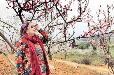 公式“時尚奶奶”的賞花照，收獲了好多人的點(diǎn)贊。 受訪者供圖