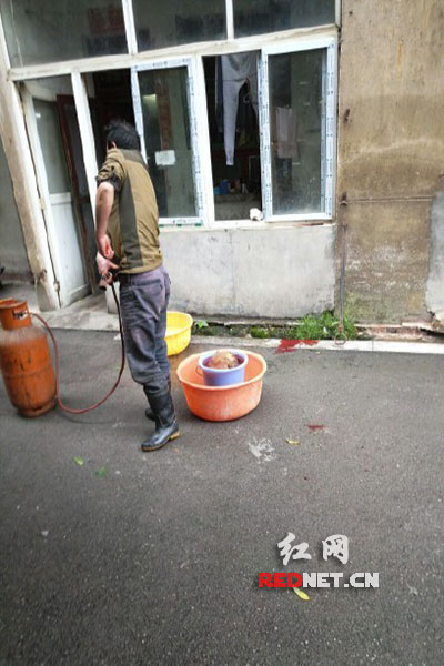 5月8日，男子在校園里殺狗，地上殘留一塊血跡。目擊者供圖。