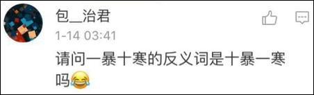 鶴立雞群？雞立鶴群！