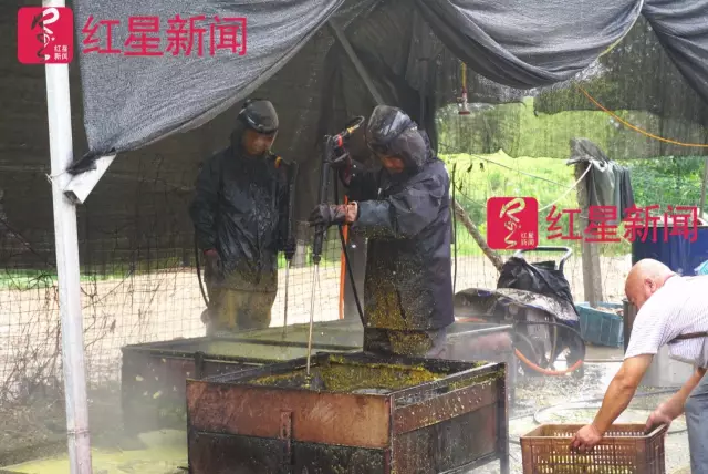 文玩核桃遇冷由幾萬一對(duì)降到5元沒人要？商戶否認(rèn)