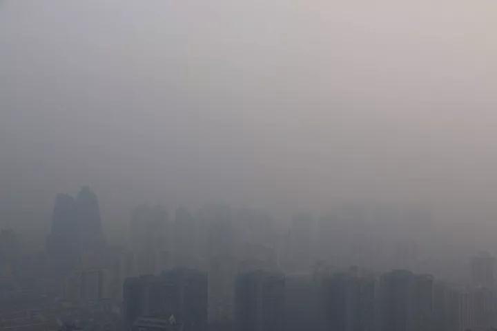 央視主播再現(xiàn)金句:我是偏東路徑冷空氣 挺想大家的 央視主播再現(xiàn)金句:我是偏東路徑冷空氣 挺想大家的