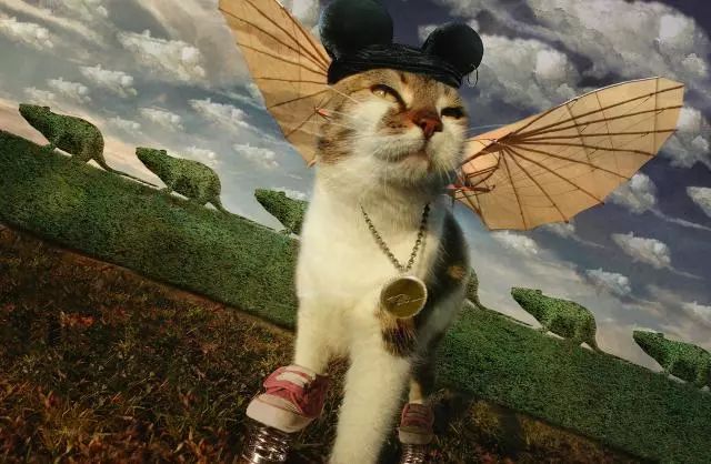 一只虛擬寵物貓叫價(jià)13億元？云養(yǎng)貓成真