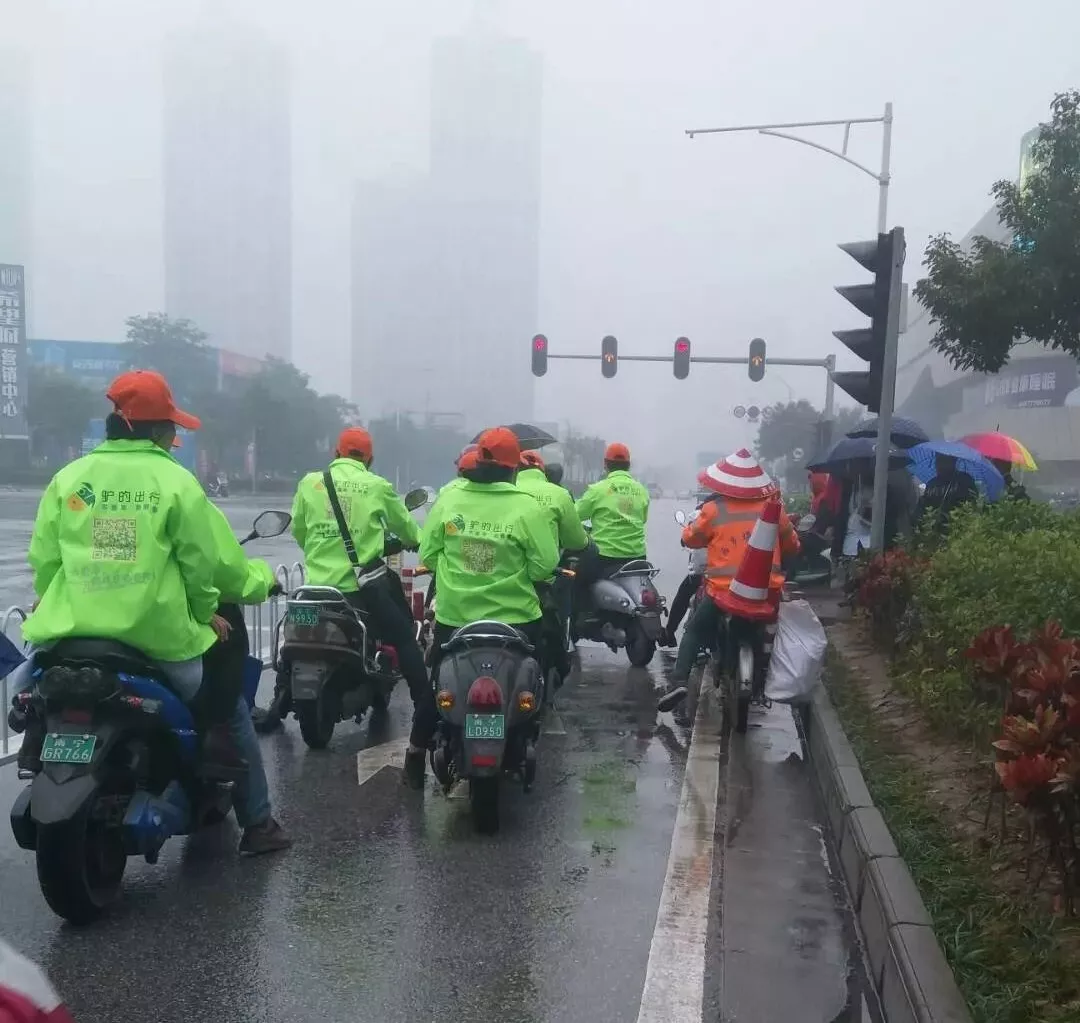 出門打驢？ 南寧“滴滴打驢”被緊急叫停