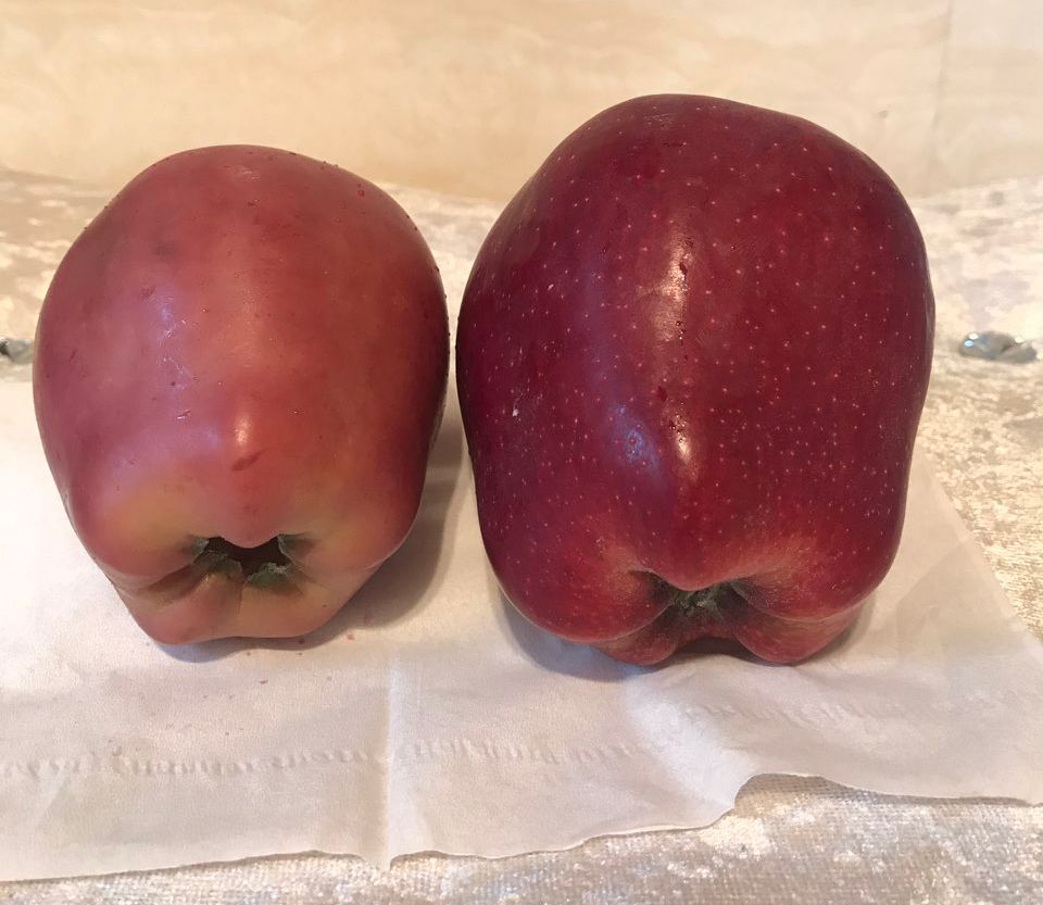 嚇懵！女子用熱水泡蘋果結(jié)果冒出血珠 咋回事？