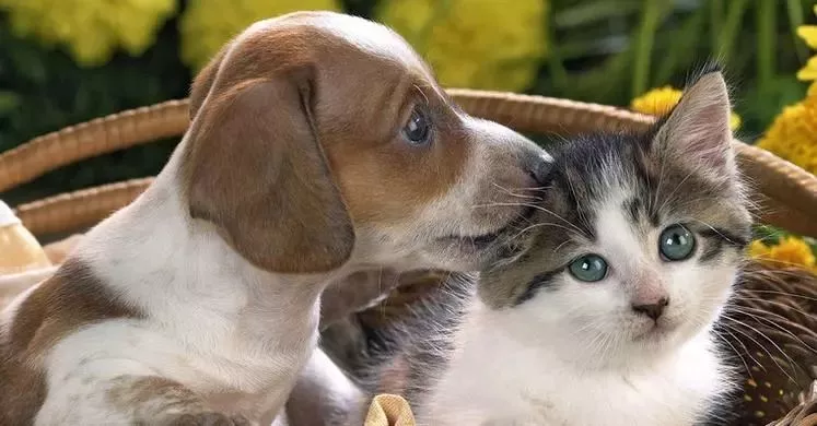 可憐！12歲女孩右眼完全失明 只因平時(shí)有這愛好