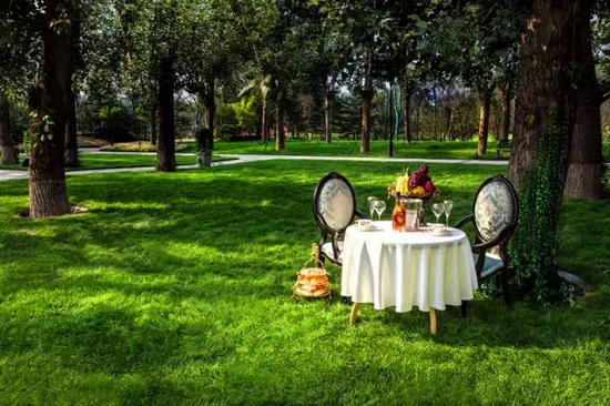 秋陽鴻園，芳草青青