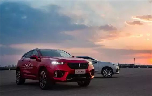 去年“蹦”出來的新汽車品牌們，現(xiàn)在活得怎么樣了？