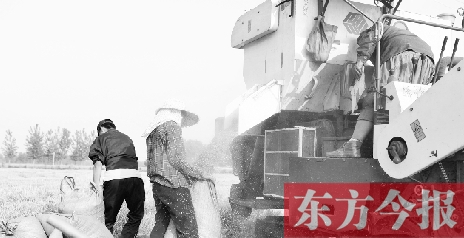 李正厚的妻子鮑本華（右）和一位村民拎著麻袋來到收割機(jī)前，接住傾倒出來的麥粒