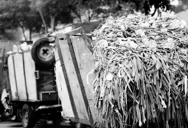 垃圾車、渣土車再在市區(qū)“裸奔”就是違法了