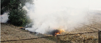 鄭州深陷“霾”伏   都是燒秸稈惹的禍？