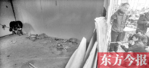 12月4日，鄭州市未來(lái)路與隴海路交叉口西側(cè)，執(zhí)法人員用吹管麻醉針對(duì)付一只藏獒