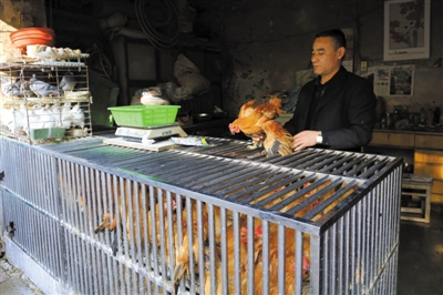 南京另一家農(nóng)貿(mào)市場內(nèi)待售的活雞。因南京出現(xiàn)H7N9禽流病例，買活雞的顧客減少。