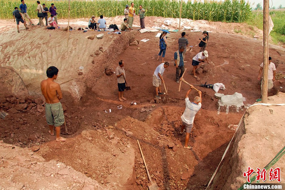 恐龍化石發(fā)掘現(xiàn)場(chǎng)。