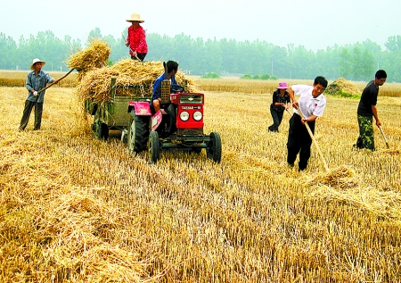 6月1日，舞鋼市礦建街道張我莊村幫扶隊員在幫村民收秸稈。