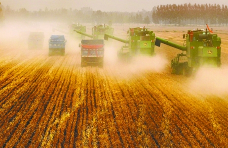 田里，一臺臺收割機(jī)唱著豐收歌。