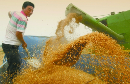 心情喜悅麥龍舞。