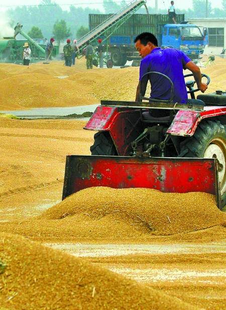 精心晾曬，散倉入庫。
