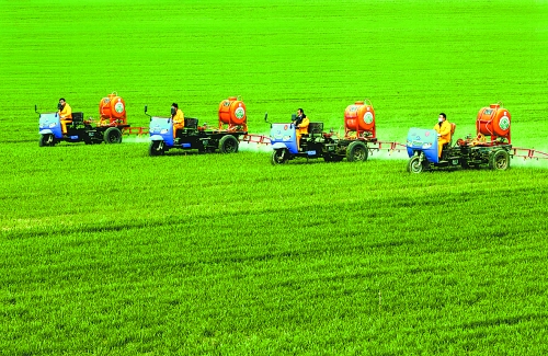 車載噴霧機(jī)奔駛在萬(wàn)畝高產(chǎn)田里。