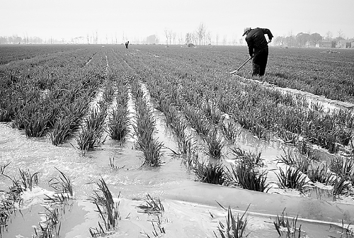 3月25日，濮陽縣郎中鄉(xiāng)大趙寨村農(nóng)民在為小麥澆水。連日來，濮陽縣廣大農(nóng)民不誤農(nóng)時(shí)，及時(shí)為麥田施肥、澆