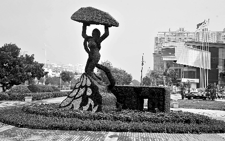 8月28日，南陽街頭繁花似錦，市民宛若行走在花海之中。