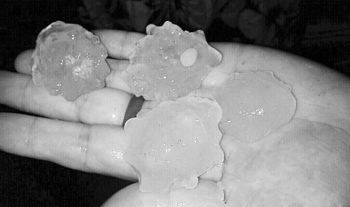 昨天凌晨，三門峽下起了冰雹，最大直徑近1厘米 微博截圖