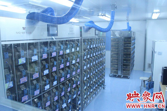 “鼠村”里每一個籠子是一家?！按濉崩镒≈?萬只左右的小鼠