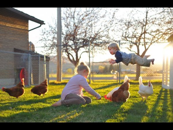 美國(guó)男子為患唐氏綜合癥兒子拍“飛行照” 美國(guó)男子為患唐氏綜合癥兒子拍“飛行照”