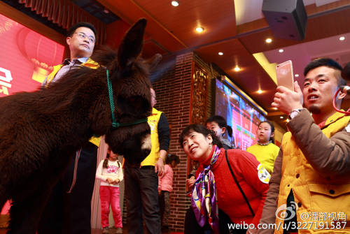 江蘇一公司奇葩年會:當場領牲畜 江蘇一公司奇葩年會:當場領牲畜