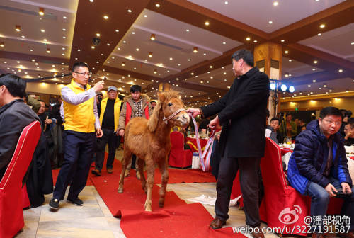 江蘇一公司奇葩年會:當場領牲畜 江蘇一公司奇葩年會:當場領牲畜