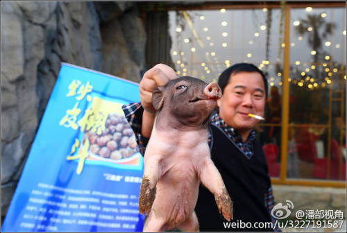 江蘇一公司奇葩年會:當場領牲畜 江蘇一公司奇葩年會:當場領牲畜