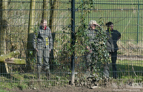荷蘭動物園一獅子頭被卡塑料桶 荷蘭動物園一獅子頭被卡塑料桶