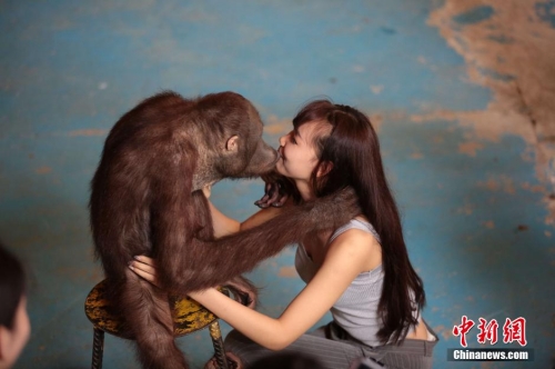 學(xué)生參加?；ㄐ２荽筚?穿比基尼秀身材