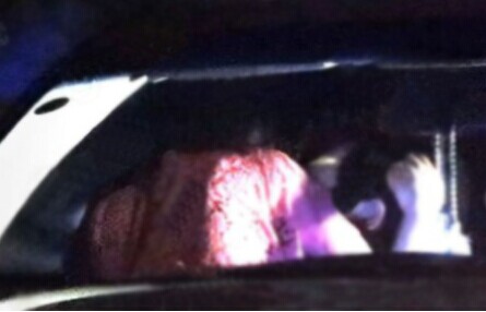 李維真被拍與妙齡女玩車震 李維真被拍與妙齡女玩車震